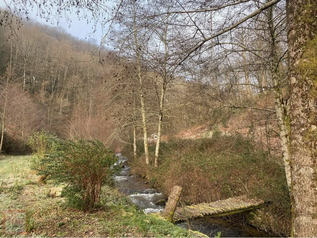 ANCIEN MOULIN A FINIR DE RESTAURER SUR 9HA