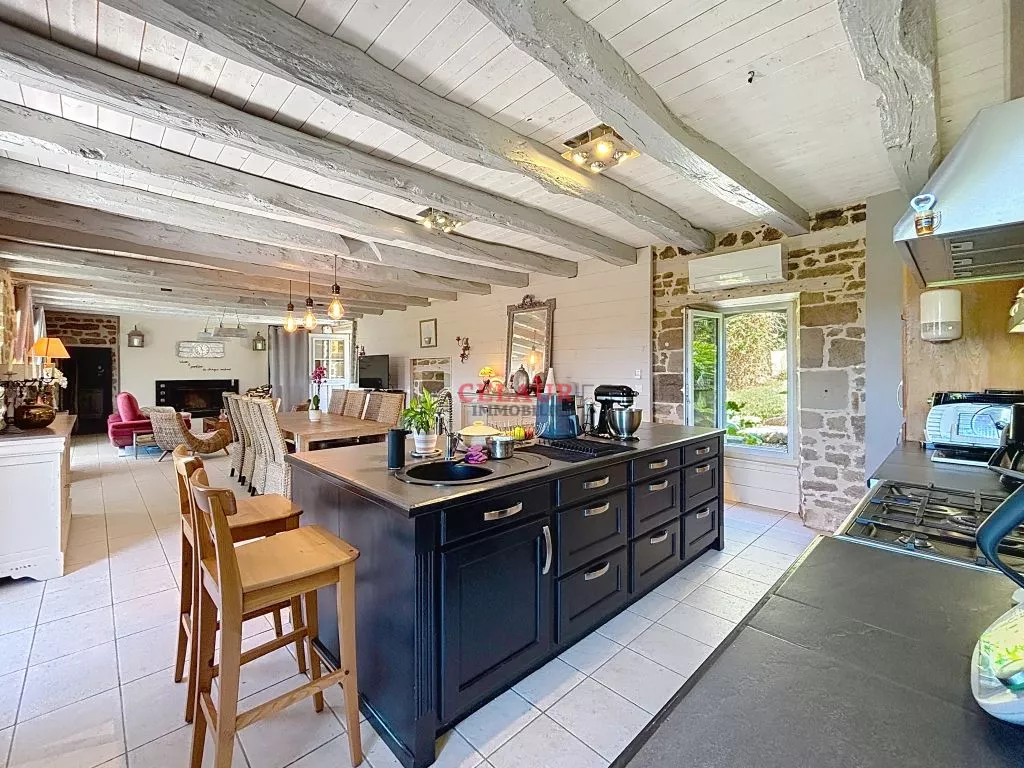 DOMAINE DE 10 HA : MAISON, GRANGE AMENAGEE, VUE, PISCINE