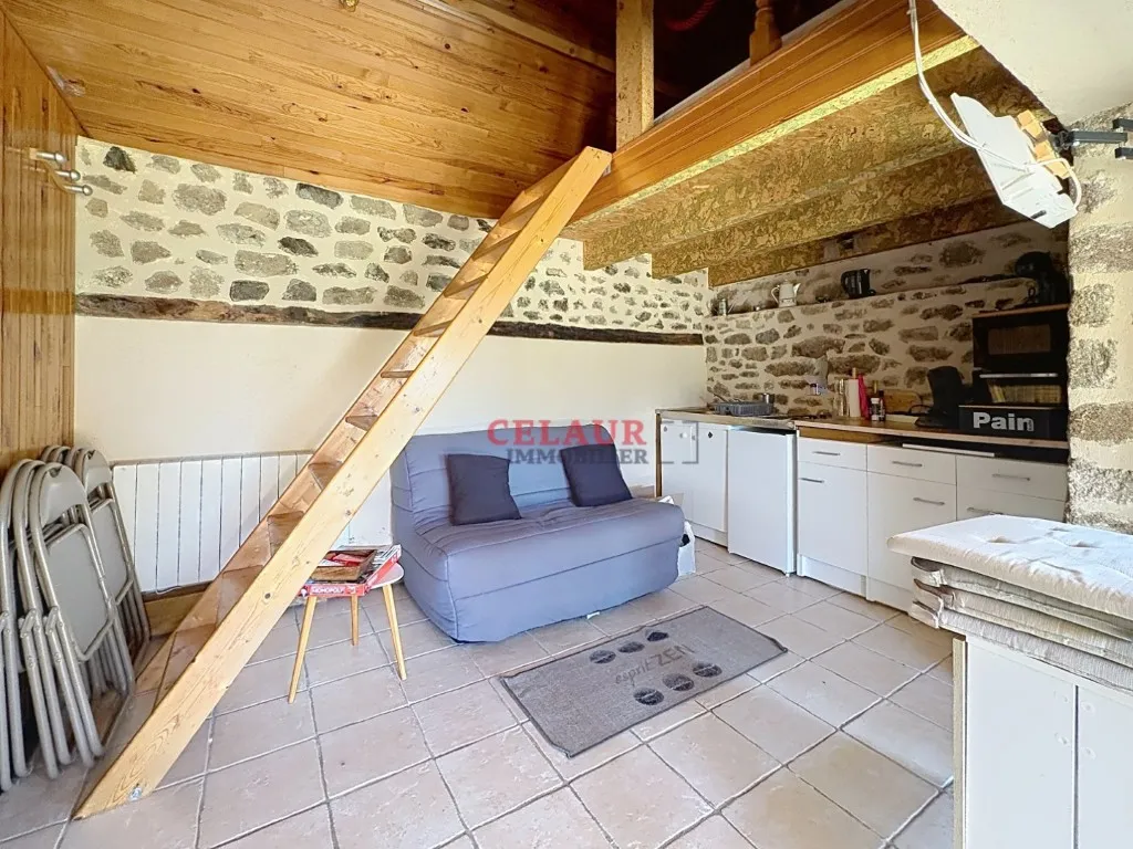 Propri&eacute;t&eacute; maison pierre piscine et grange